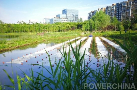 合肥市巢湖原位水質(zhì)提升試點(diǎn)工程順利實(shí)施