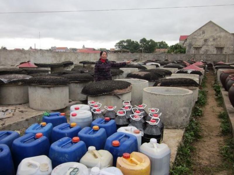 太陽能技術(shù)在魚醬生產(chǎn)中的應(yīng)用