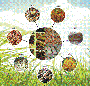 張大勇：生物質(zhì)能工程更是環(huán)保與民生工程