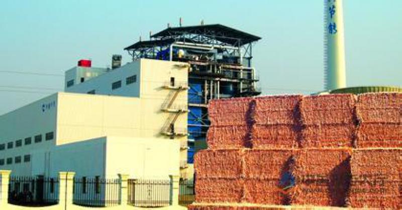 郭云高：失去“電價補貼” 生物質和燃煤耦合生物質發電該如何發展？