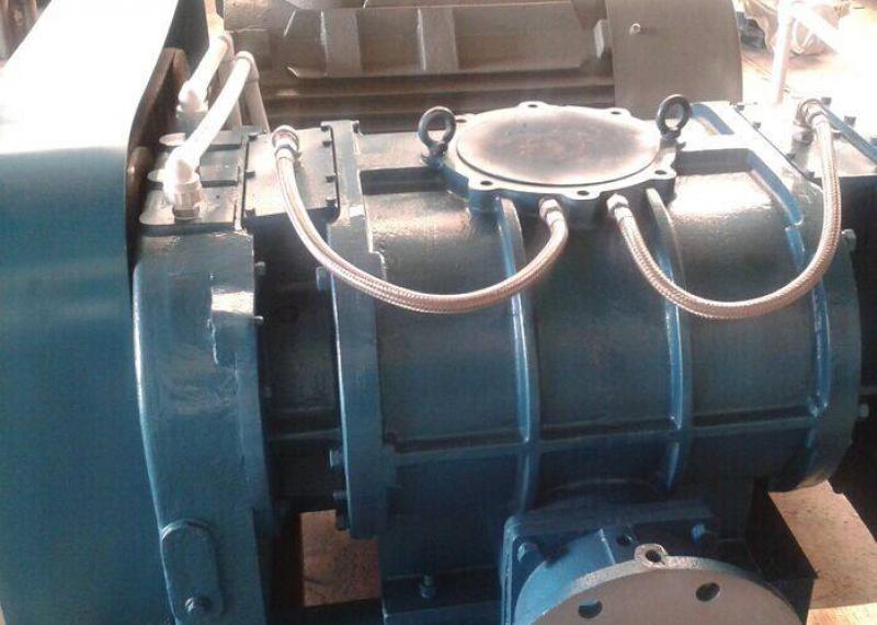 津巴布韋：在Domboshava打破性別障礙的沼氣