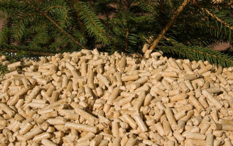 住友重機工業有限公司(SHI)在日本，韓國獲得生物質項目