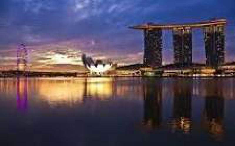 馬尼拉熱電站將于下周拍賣