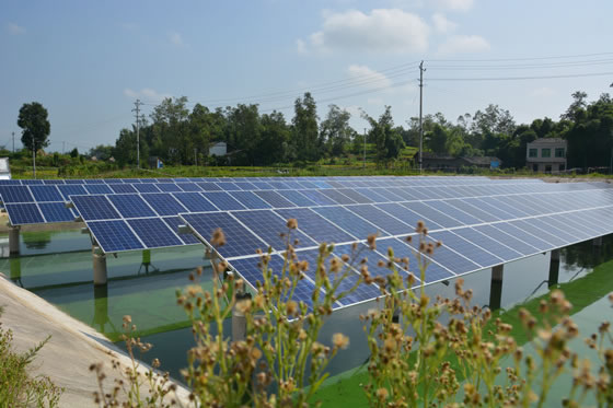 重慶市梁平區(qū)禮讓鎮(zhèn)首個漁業(yè)光伏發(fā)電項(xiàng)目建成將投用