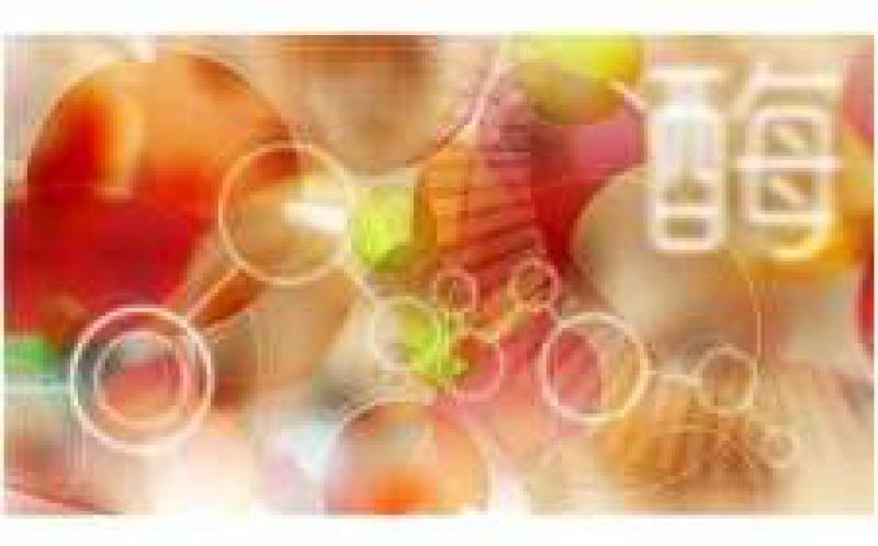 紅藻中發(fā)現可增加生物燃料產量的酶