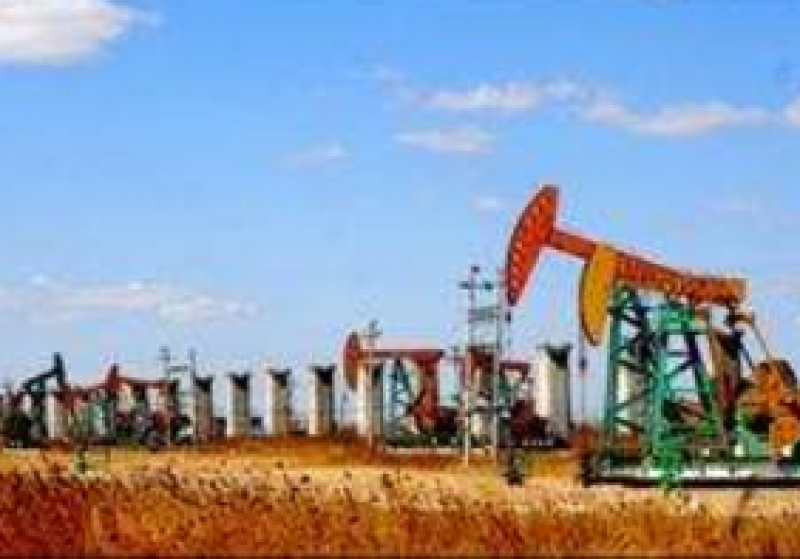 國(guó)內(nèi)最大致密油示范區(qū)提質(zhì)提速