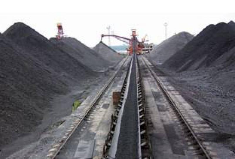 上半年唐山港煤炭吞吐量為3969萬噸 同比增長17.2%