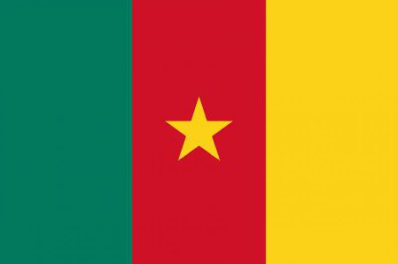 喀麥隆能源政策框架