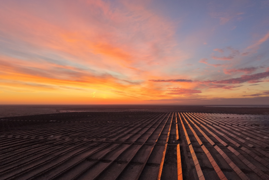 上海申能(集團(tuán))有限公司走出去建設(shè)的單期容量最大光伏項(xiàng)目竣工