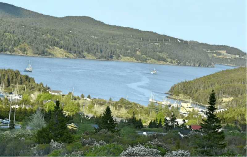 紐芬蘭液化天然氣項目推進 地方經濟關注度提升