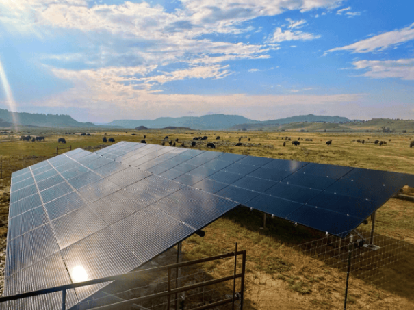 北夏延部落采用離網(wǎng)太陽(yáng)能系統(tǒng)為水牛牧場(chǎng)供電